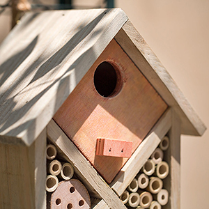 Diamondback Bee House