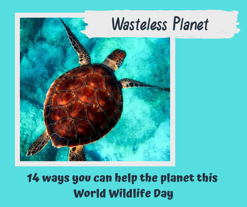 14-ways-you-can-help-the-planet-wasteless-planet