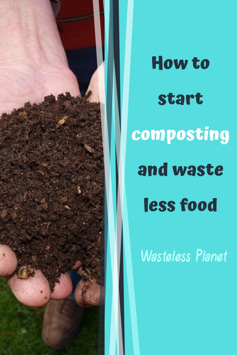 How to start composting and waste less food