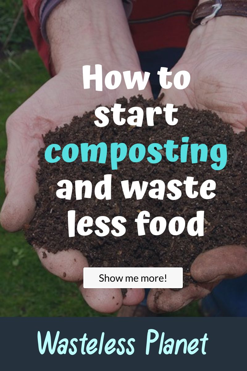 How to start composting and waste less food