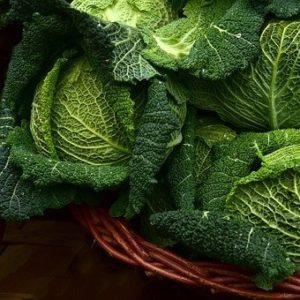 Basket filled with cabbage