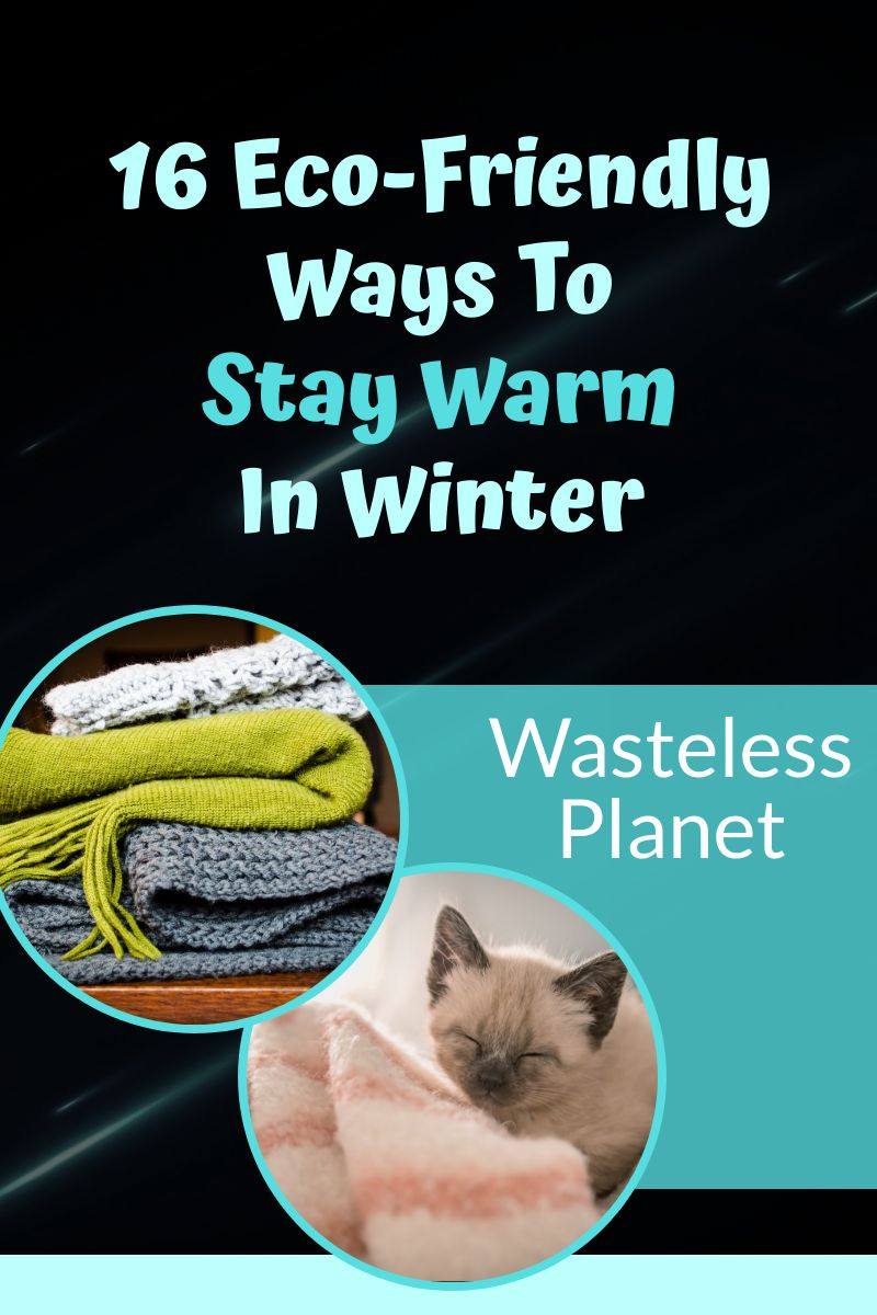 4 Ways to Keep Warm this Winter and Stay Green - Carton Council — Consumer