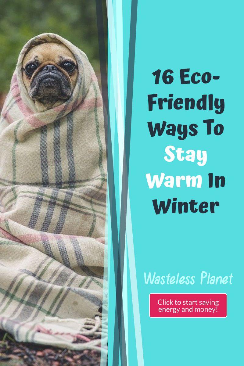 16 Eco-Friendly Ways To Stay Warm In Winter