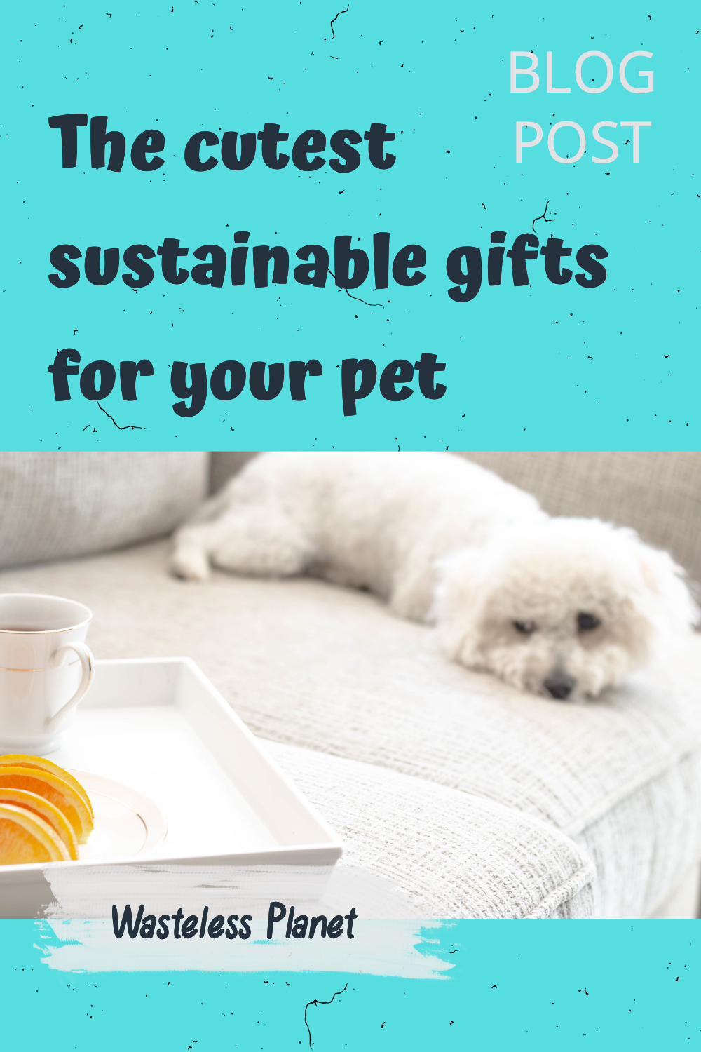 The cutest and healthiest gifts your cat or dog will love