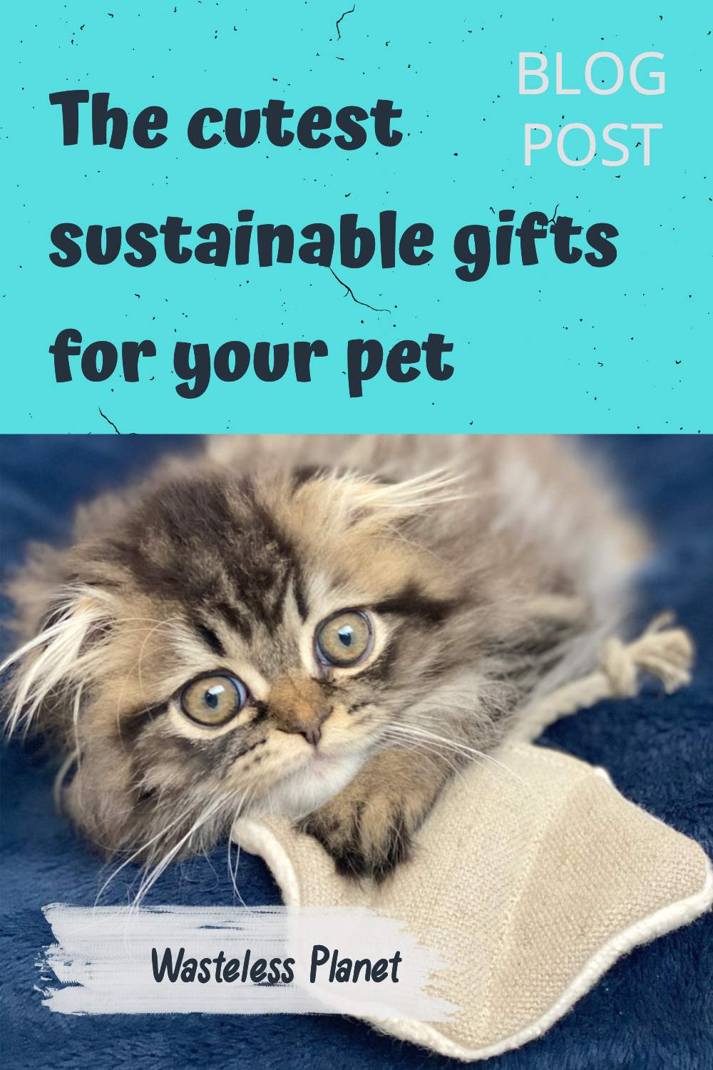 These are the cutest sustainable gifts for your pet (cats and dogs)